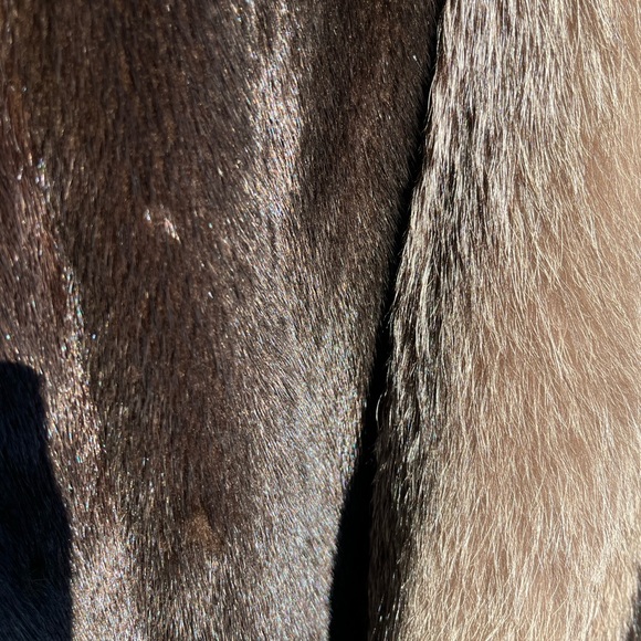 Vintage Coyote Fur Jacket - Picture 7 of 7